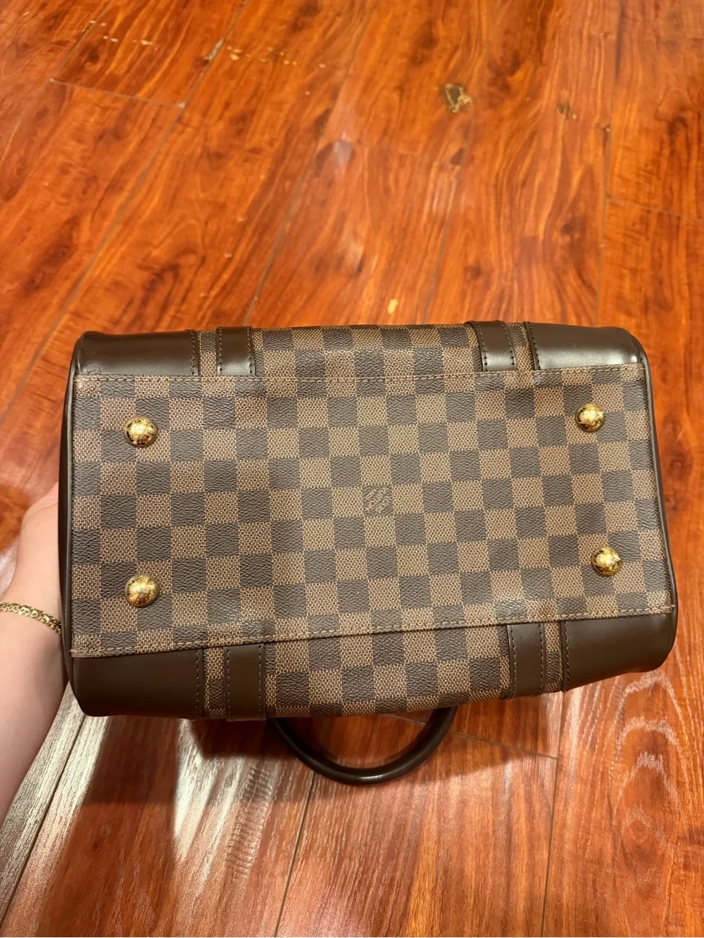 Louis Vuitton Damier Ebene Berkeley Bag